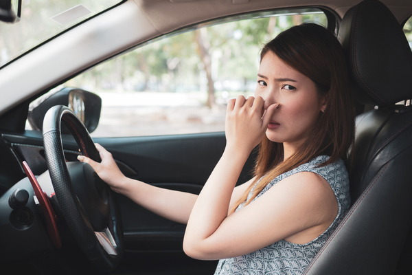 車内の気になる臭い、原因はどれ？対策法も紹介！