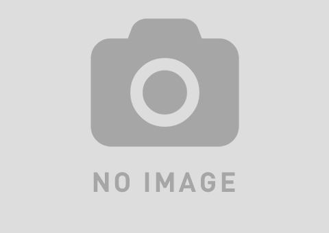 BLOG はじめました。